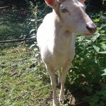 phoca_thumb_m_vp 17.6.2025  54 Fotogalerie